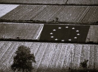 WG – Rural Development and Consumer Protection (Chapter 11,12 and 28)