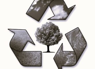 WG – Environment (Chapter 27)