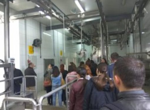 Forum and Study Visit in Lushnje: Consumer Protection-Food Safety and the impact on the environment due to Food Industry activity