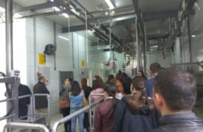 Forum and Study Visit in Lushnje: Consumer Protection-Food Safety and the impact on the environment due to Food Industry activity