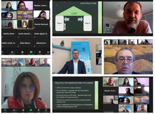 NCEI 2019 – 2021, WG III, Session 3: Common European Agricultural Policy (CAP) – innovations and challenges