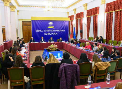 Plenary Session of the National Convention for European Integration